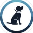 Black Dog on Lead