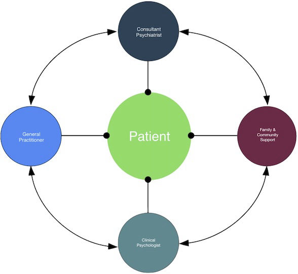 Cygnet Model of Team Based Mental Health Care